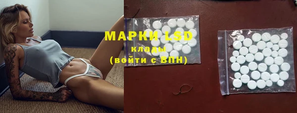гидра Зеленодольск
