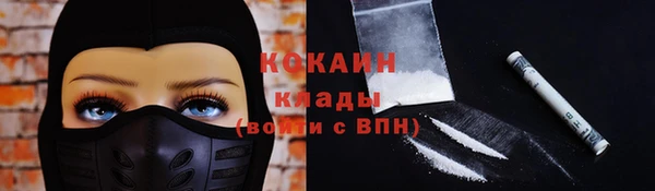 дживик Зерноград