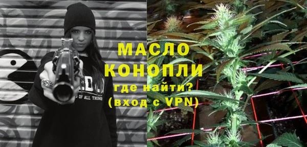гидра Зеленодольск