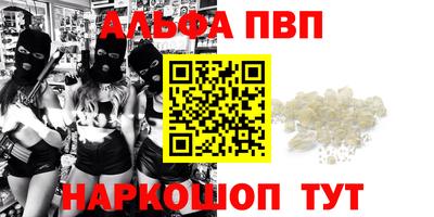 кокс Кингисепп