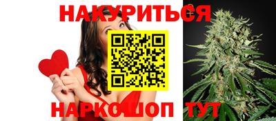 кокс Кингисепп