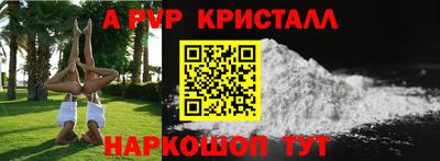 кокс Кингисепп