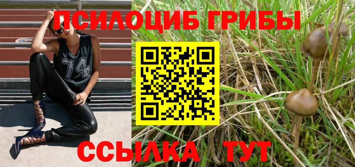 ГЕРОИН  Пыть-Ях  Кокаин  ГАШИШ  A-PVP СК   Купить наркотики цена  Мефедрон кристаллы  Канабис 