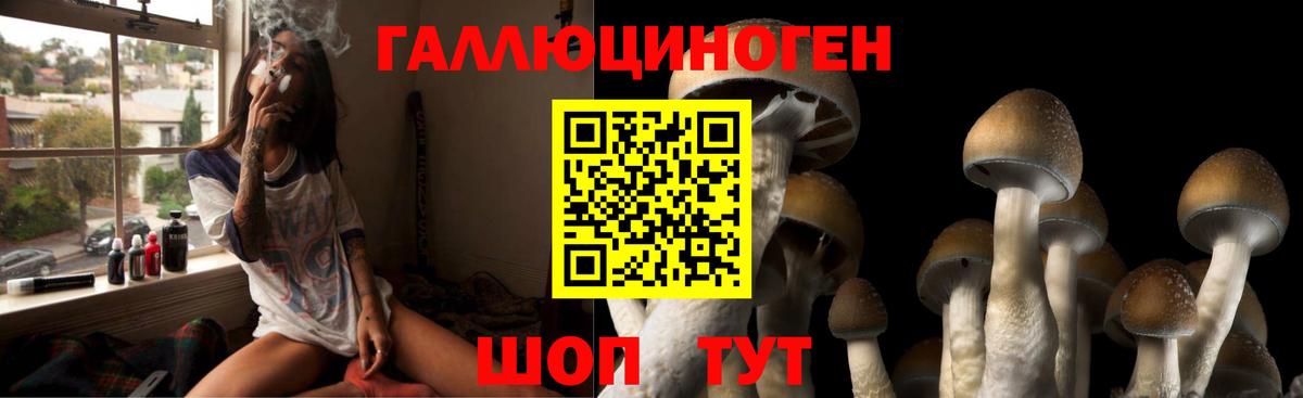 Пыть-Ях  Галлюциногенные грибы Psilocybine cubensis  Вход с VPN 
